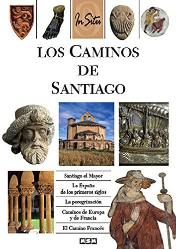 Los Caminos de Santiago (in Situ)