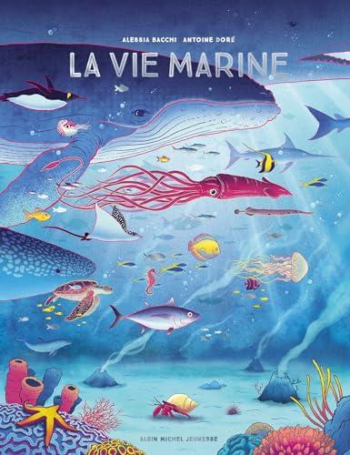 La vie marine : écosystèmes et biodiversité