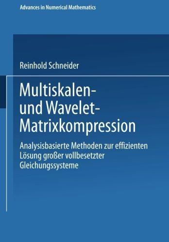 Multiskalen- und Wavelet-Matrixkompression (Advances in Numerical Mathematics)