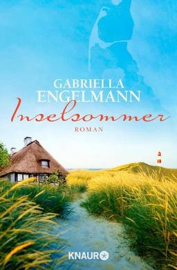 Inselsommer: Roman