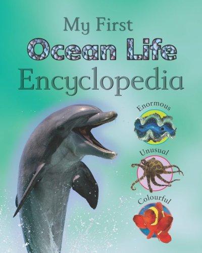 Childrens Ocean Life Encyclopedia (My First Encyclopedia)