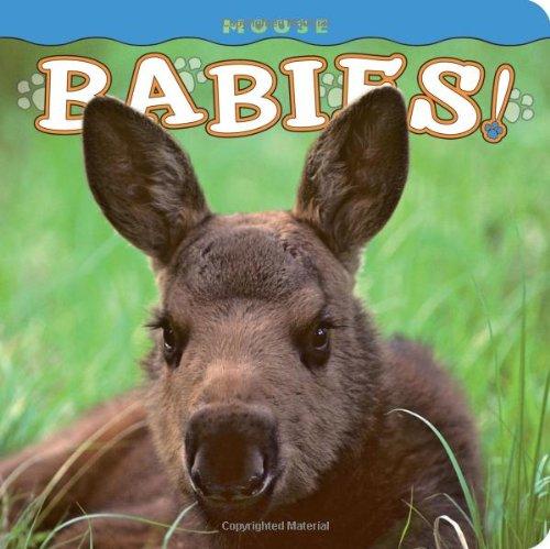 Moose Babies! (Babies! (Farcountry Press))