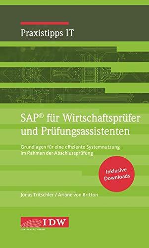 SAP für Wirtschaftsprüfer und Prüfungsassistenten: Grundlagen für eine effiziente Systemnutzung im Rahmen der Abschlussprüfung