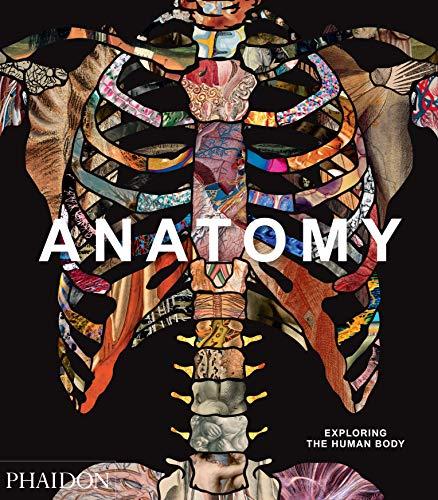 Anatomy: Exploring the Human Body (Explorer)