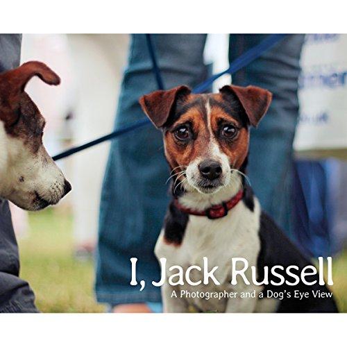 I, Jack Russell: A Photographer and a Dog's Eye View