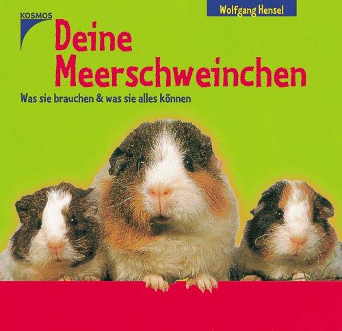 Deine Meerschweinchen: Was sie brauchen und was sie alles können