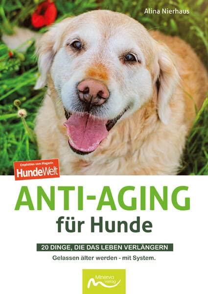 Anti-Aging für Hunde: 20 Dinge, die das Leben verlängern