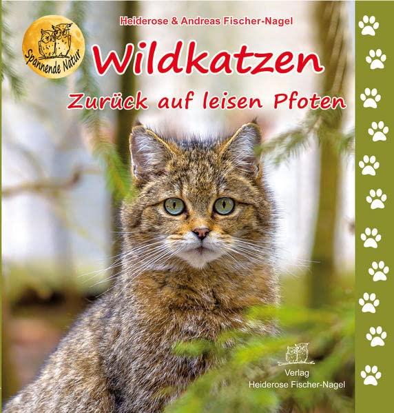 Wildkatzen: Zurück auf leisen Pfoten