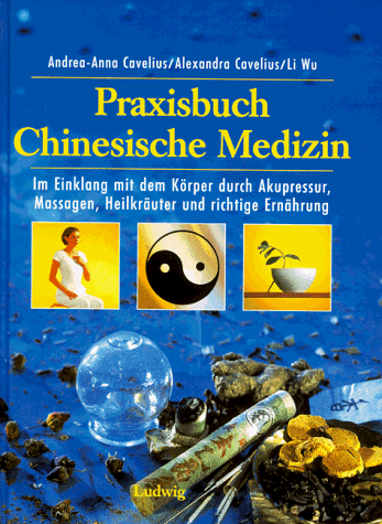 Praxisbuch Chinesische Medizin