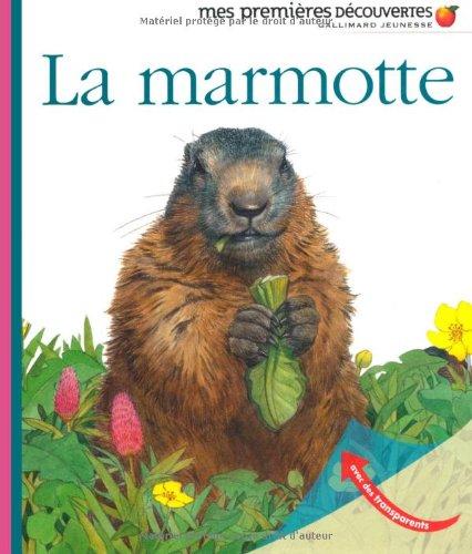 La marmotte