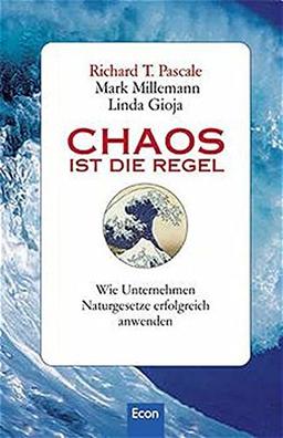 Chaos ist die Regel: Wie Unternehmen Naturgesetze erfolgreich anwenden