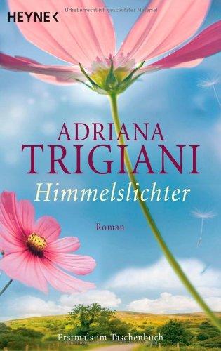 Himmelslichter: Roman