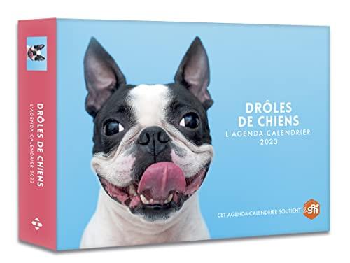 Drôles de chiens : l'agenda-calendrier 2023