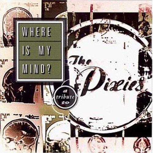 Where Is My Mind? Tribute to Pixies