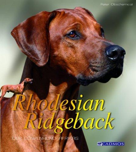 Rhodesian Ridegeback: Der Löwenhund Afrikas