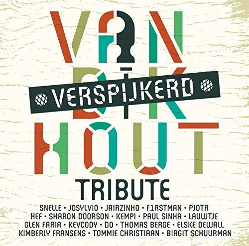 Various Artists - Van Dik Hout (Verspijkerd)