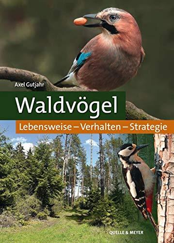 Waldvögel: Lebensweise – Verhalten – Strategie