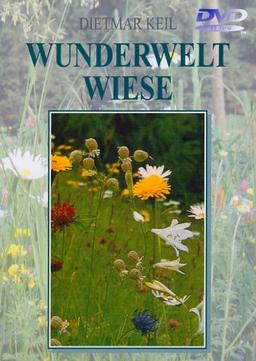 Wunderwelt Wiese