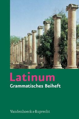 Latinum, Ausgabe B. Lehrgang für den später beginnenden Lateinunterricht: Latinum, Grammatisches Beiheft