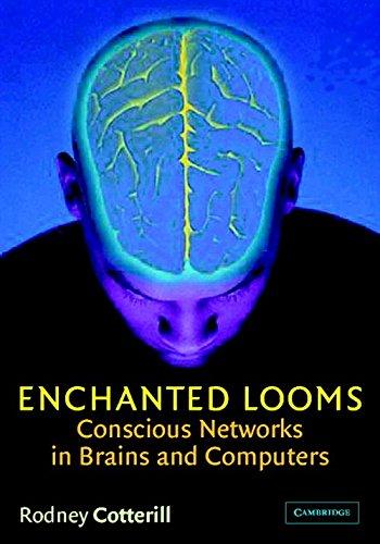 Enchanted Looms: Conscious Networks in Brains and Computers