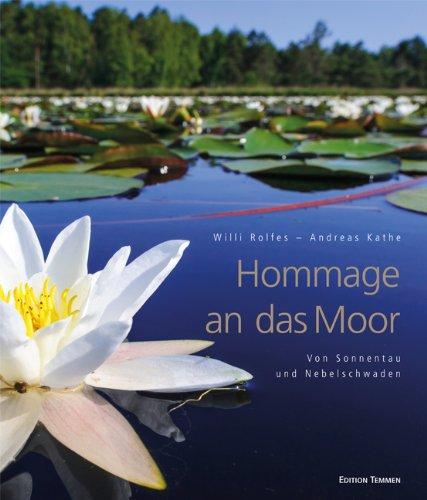 Hommage an das Moor: Von Sonnentau und Nebelschwaden