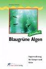 Blaugrüne Algen: Supernahrung für Körper und Geist