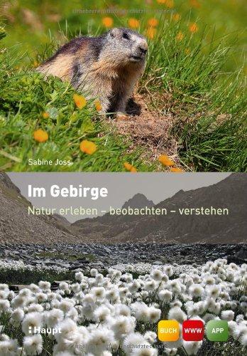 Im Gebirge: Natur erleben - beobachten - verstehen