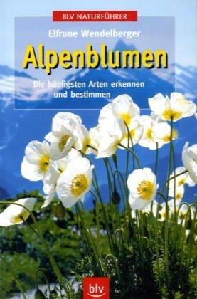 Alpenblumen. Die häufigsten Arten erkennen und bestimmen