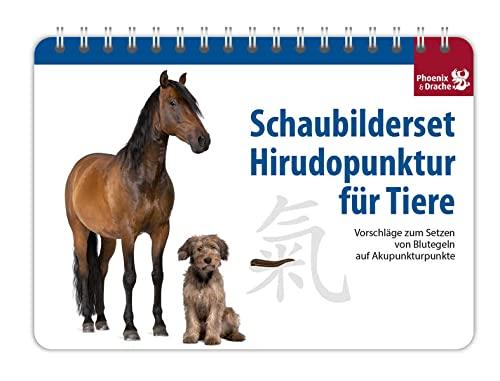 Schaubilderset Hirudopunktur für Tiere - Deutsche Ausgabe -> nur noch Schweizer Ausgabe lieferbar!: Vorschläge zum Setzen von Blutegeln auf Akupunkturpunkte