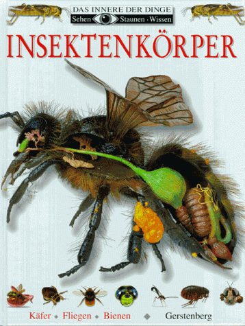 Insektenkörper