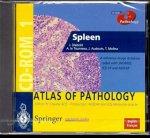 CD- ROM Atlas of Pathology 1. Spleen. A reference image database coded with SNOMED ICD 10 and ADICAP