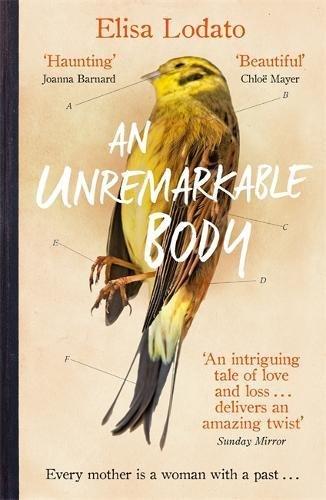 An Unremarkable Body: A stunning literary debut with a twist