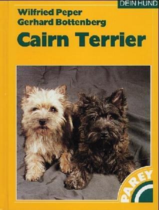 Der Cairn-Terrier