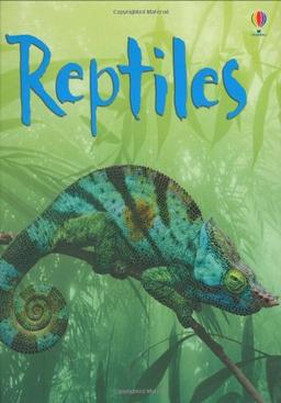 Reptiles (Beginners)