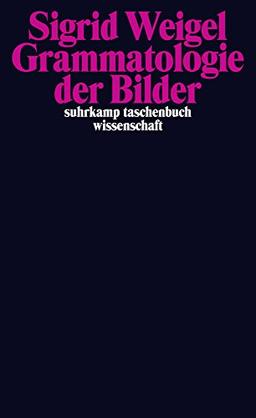 Grammatologie der Bilder (suhrkamp taschenbuch wissenschaft)