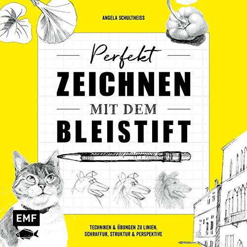 Perfekt zeichnen mit dem Bleistift: Techniken & Übungen zu Linien, Schraffur, Struktur & Perspektive