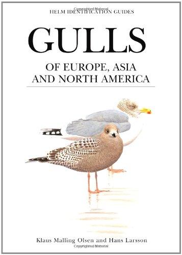 Gulls of Europe, Asia and North America (Helm Identification Guides)