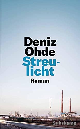 Streulicht: Roman (suhrkamp taschenbuch)