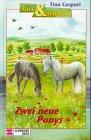 Jana & Janusch, Bd.7, Zwei neue Ponys