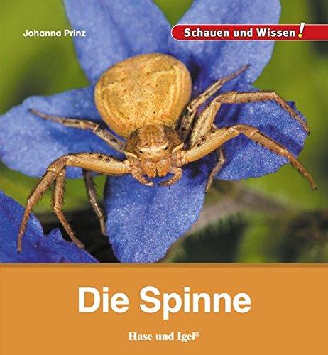 Die Spinne: Schauen und Wissen!