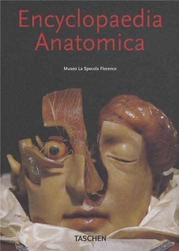 Encyclopaedia anatomica : collection des cires anatomiques. Encyclopaedia anatomica : a collection of anatomical waxes. Encyclopaedia anatomica : sammlung anatomischer wachse