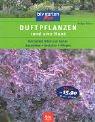 Duftpflanzen rund ums Haus: Die besten Arten und Sorten  Auswählen · Gestalten · Pflegen