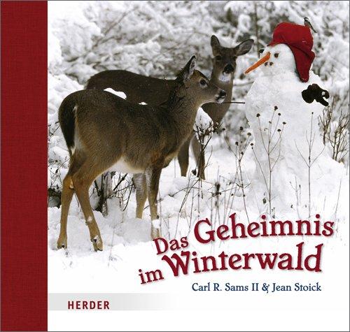 Das Geheimnis im Winterwald