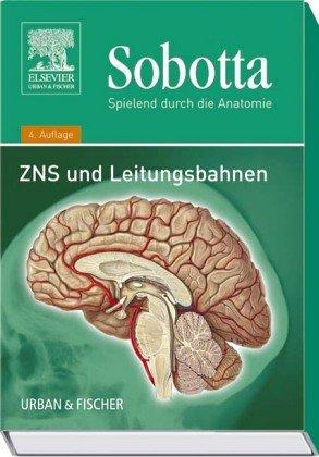 Spielend durch die Anatomie, Lernkarten, Tl.3, ZNS und Leitungsbahnen, 126 Lernkarten