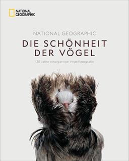 National Geographic Die Schönheit der Vögel: 130 Jahre einzigartige Vogelfotografie