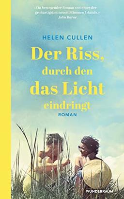 Der Riss, durch den das Licht eindringt: Roman