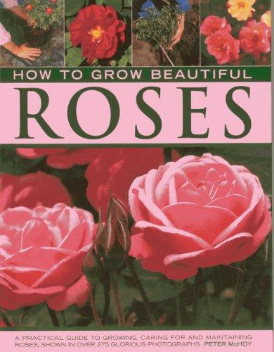 How to Grow Beautiful Roses: A Practical Guide to Growing, Caring for and Maintaining Roses, Shown in Over 275 Glorious Photographs