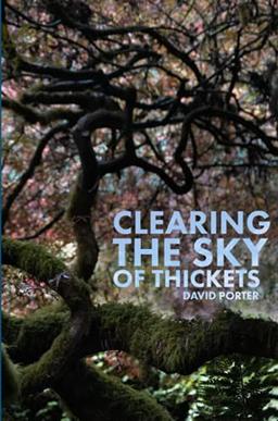 Clearing the Sky of Thickets