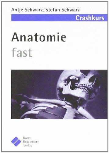 Anatomie fast: Crashkurs