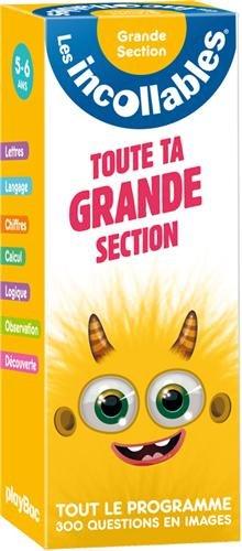 Toute ta grande section : tout le programme : 300 questions en images